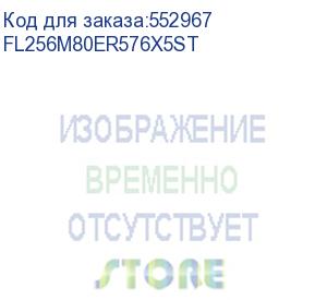 купить твердотельный накопитель/ foxline ssd x5st, 256gb, m.2(22x80mm), nvme, pcie 3.0 x4, 3d tlc, r/w 2000/1100mb/s, iops -/-, tbw 119, dwpd 0.6 (2 года) fl256m80er576x5st