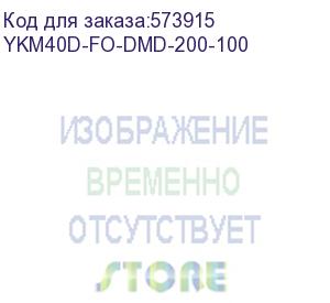 купить дверь металлическая двустворчатая (створка 2) 2000х1000 format (itk) ykm40d-fo-dmd-200-100