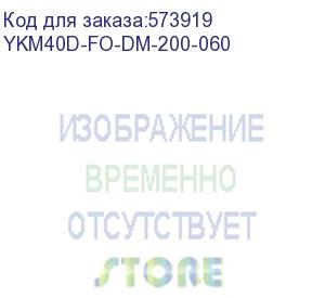 купить дверь металлическая 2000х600 format (itk) ykm40d-fo-dm-200-060