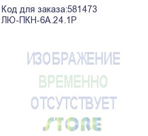 купить лю-пкн-6a.24.1р (панель коммутационная, укомплектованная utp, кат.6a, 24 порта, 19 , 1u, с кабельным организатором) lan union