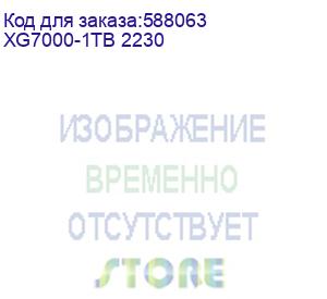 купить 1тб ssd накопитель kingspec xg7000 xg7000-1tb 2230 m.2 2230, pcie 3.0 x4